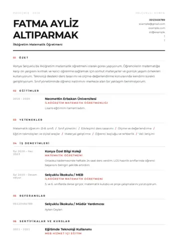 Matematik Öğretmeni Cv Örnekleri cv indir